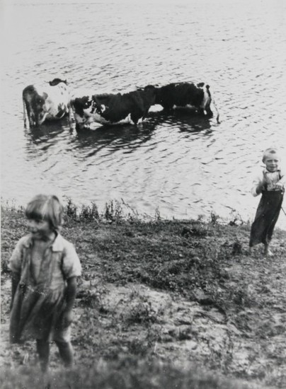 Irena Blühová: Pastierik kráv. 1926