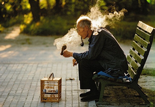 Thomas Hoepker - Starec so svojim vtáčikom v Ritan Parku, Peking. 1984.jpg