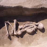 1495
