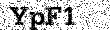 Captcha obrázok